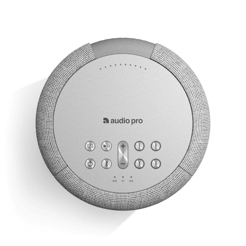 Multiroom Stationärer (n.A) Multiroom-Lautsprecher Pro A10MK2 Kompakter Audio Grau