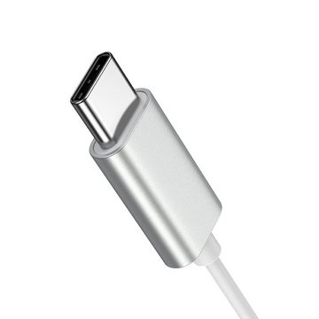 JOYROOM USB-C Kabelkopfhörer In-Ear-Kopfhörer – Silber 1200 mm In-Ear-Kopfhörer