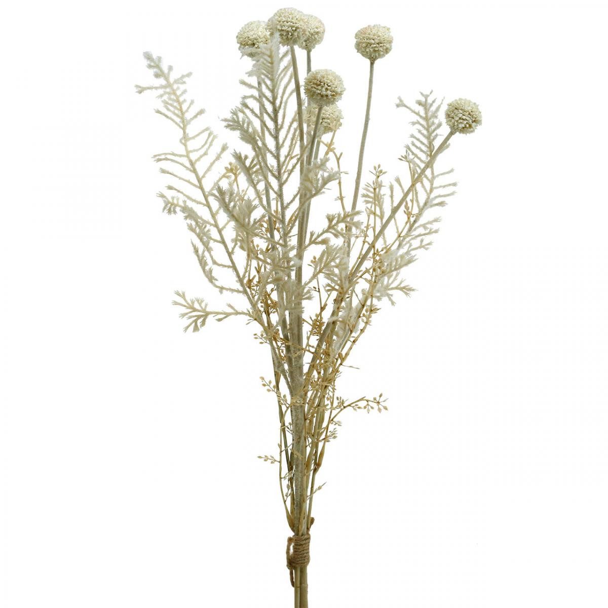 Kunstblume Trockengräser künstlich Pampasgras Allium Creme Beige - Deko H60cm