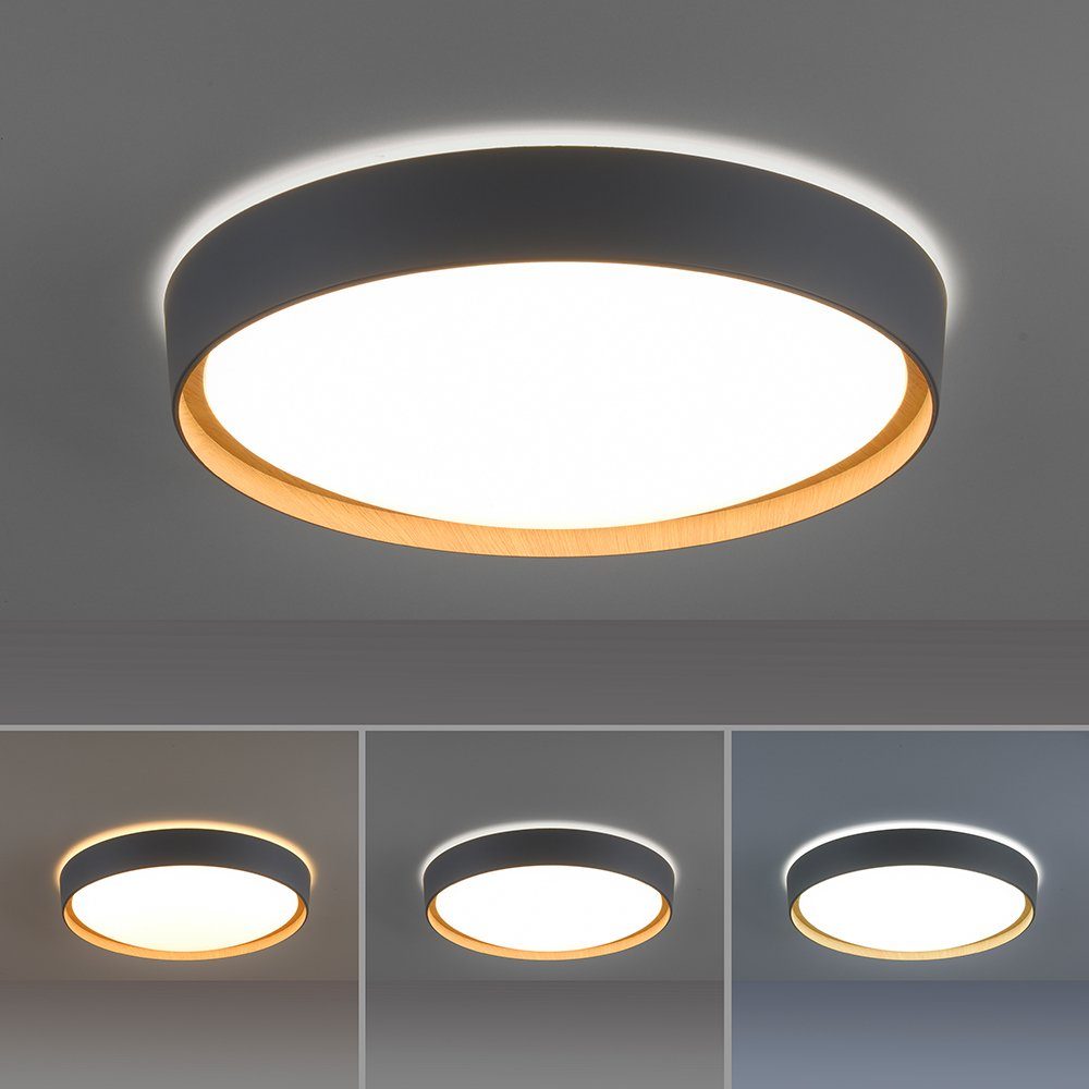 EMILIA dimmbar Wandlampe Smart steuerbar Neuhaus CCT-Farbtemperaturregelung, LED-Leuchte Leuchtmittel, App Paul LED Q Home, mit Deckenleuchte Home, Memoryfunktion, Fernbedienung Smart Dimmfunktion, Smarte