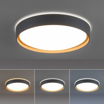 Paul Neuhaus Smarte LED-Leuchte LED Deckenleuchte Q EMILIA Smart Home, Smart Home, CCT-Farbtemperaturregelung, Dimmfunktion, Memoryfunktion, mit Leuchtmittel, dimmbar Fernbedienung steuerbar App Wandlampe