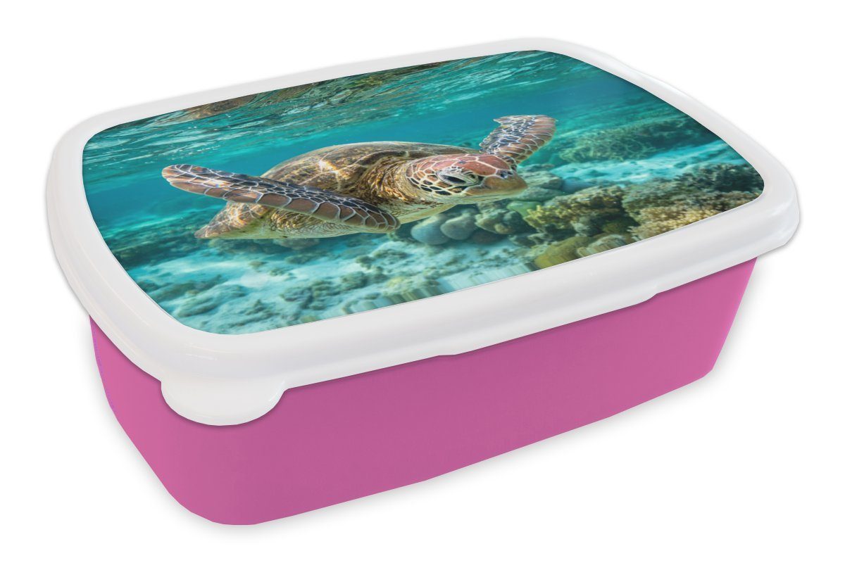 MuchoWow Lunchbox Eine Schildkröte schwimmt unter Wasser in Bodennähe, Kunststoff, (2-tlg), Brotbox für Erwachsene, Brotdose Kinder, Snackbox, Mädchen, Kunststoff rosa