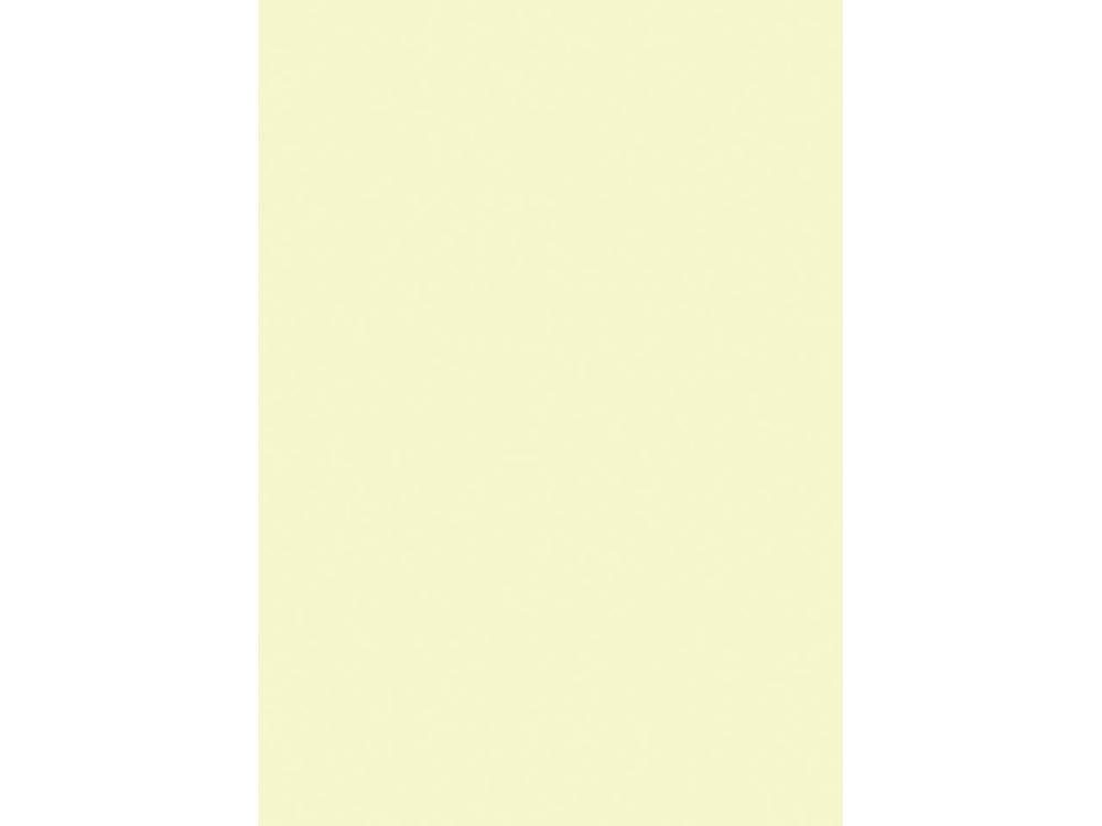 Thumbnail - STEINBEIS Kopierpapier Steinbeis Farbiges Kopierpapier 'MagicColour' DIN