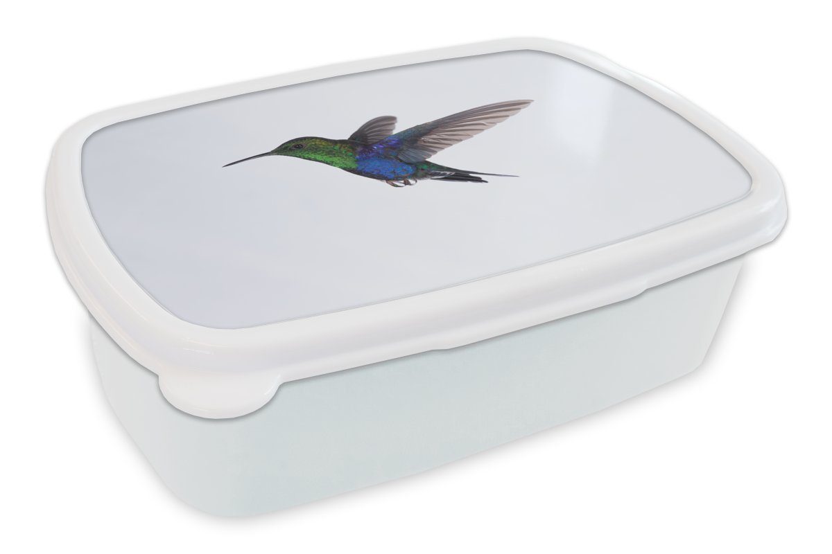 MuchoWow Lunchbox Vögel - Kolibri - Grün - Blau, Kunststoff, (2-tlg), Brotbox für Kinder und Erwachsene, Brotdose, für Jungs und Mädchen weiß