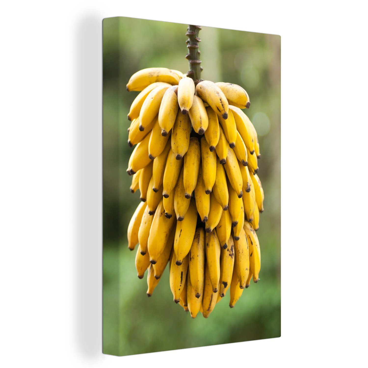Gemälde, Zackenaufhänger, 20x30 Leinwandbild Bananen fertig Obst - inkl. St), (1 Zweig, bespannt - OneMillionCanvasses® Leinwandbild cm