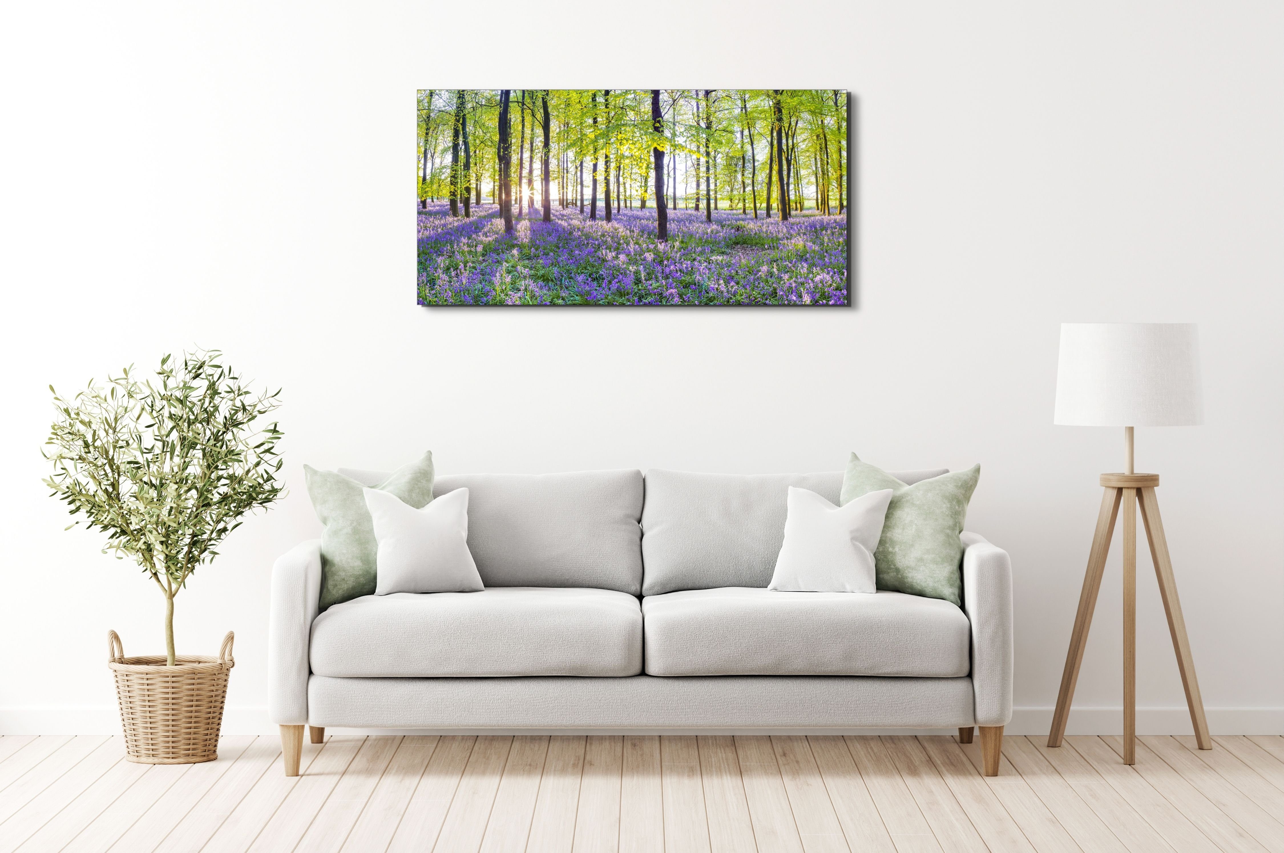 30x60 cm, (Zenith) & Blumen, Blumen, Schlafzimmer in Acrylglasbild im Wohnzimmer Frühlingswald, Glasbilder Blauglöckchen Victor