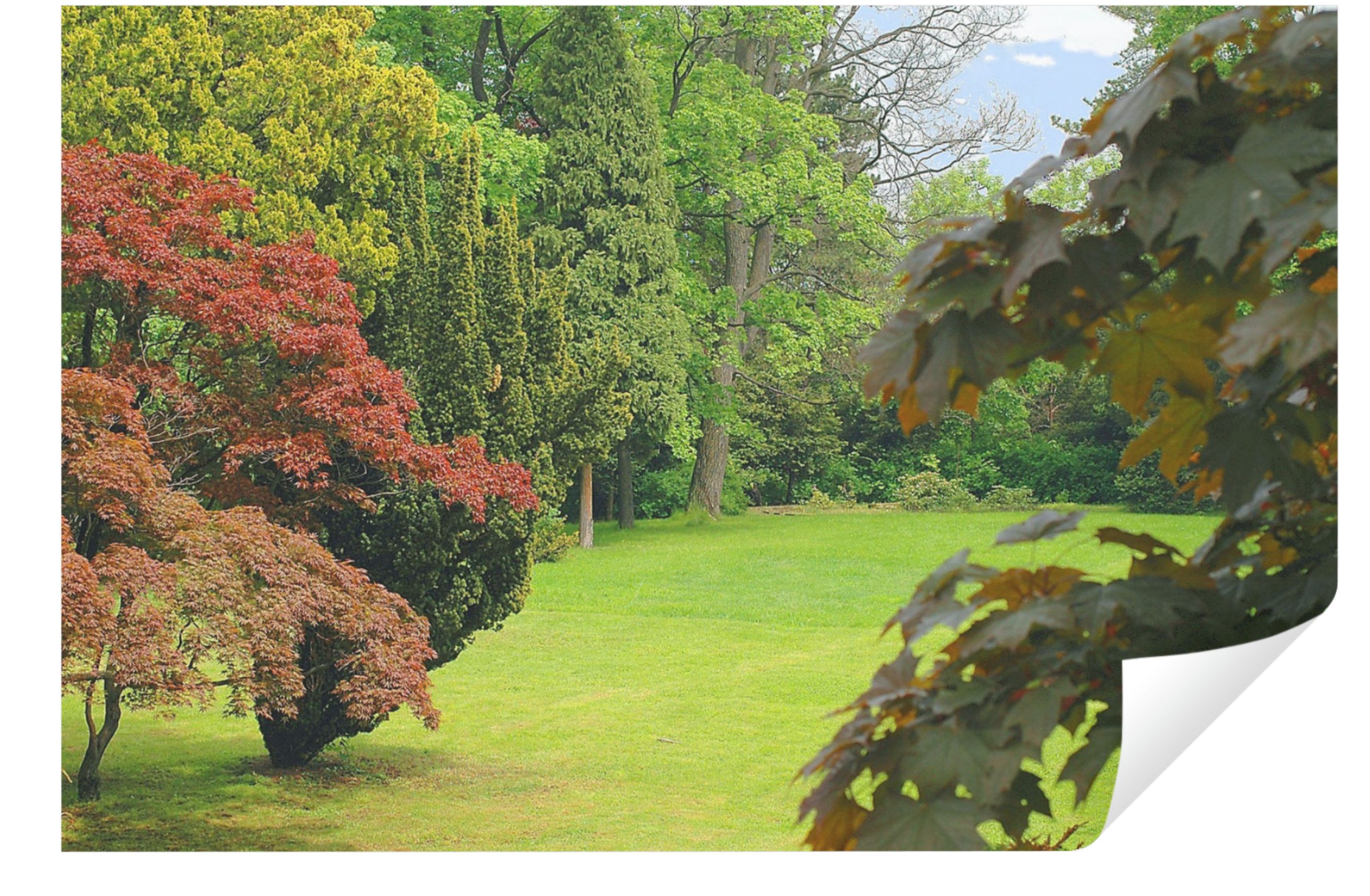 Wallarena Fototapete Garten Natur Baum Papier günstig online kaufen