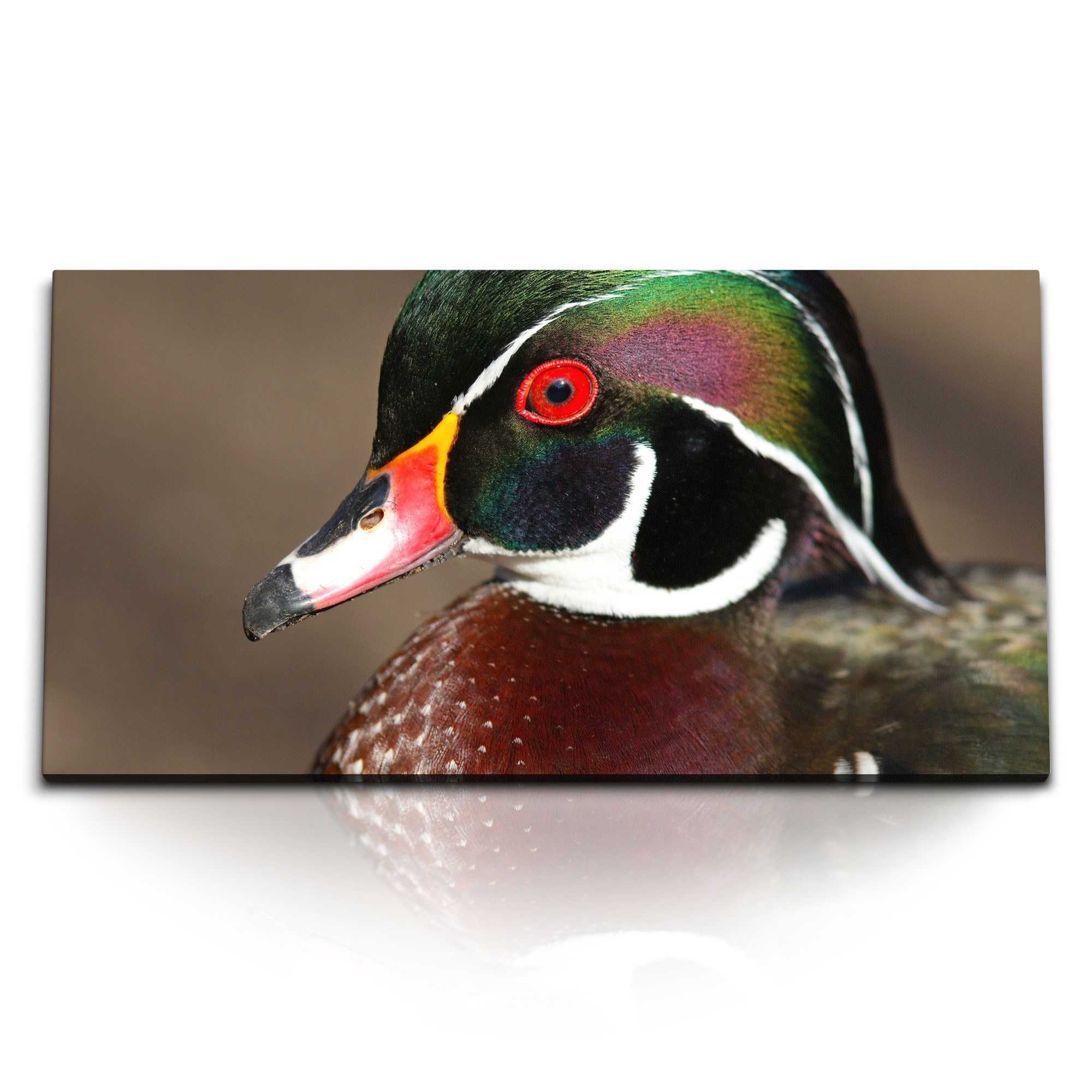 Leinwandbild Kunstdruck Bilder 120x60cm Waldente Ente Tierfotografie Natur Vogel