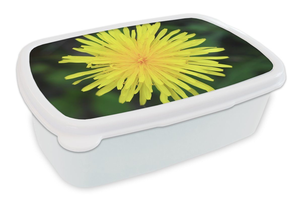 MuchoWow Lunchbox Makro - Sonnenblume - Gelb, Kunststoff, (2-tlg), Brotbox für Kinder und Erwachsene, Brotdose, für Jungs und Mädchen weiß