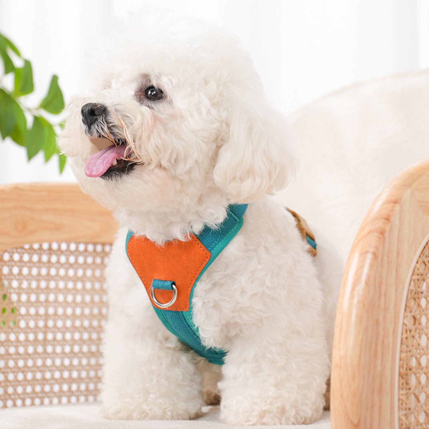 BYSURE Hunde-Geschirr, Hundegeschirr für kleine Hunde günstig online kaufen