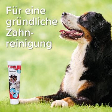 beaphar Tier-Zahncreme Dog-A-Dent Zahnpasta für Hunde & Katzen - 100 g