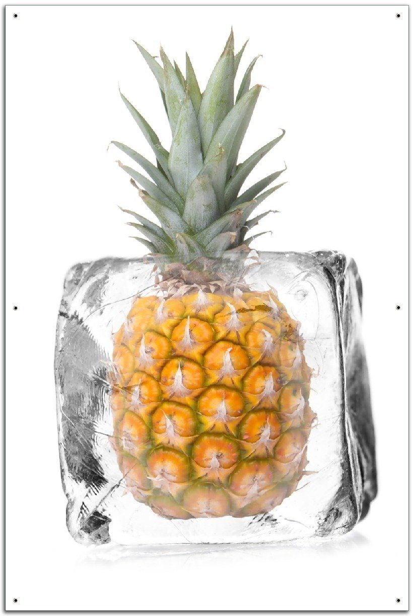 Wallario Sichtschutzzaunmatten Ananas in Eiswürfel - Eiskaltes Obst