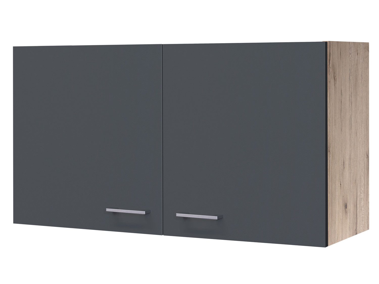 FlexWell Hängeschrank Hängeschrank Küche 100 cm breit Basaltgrau