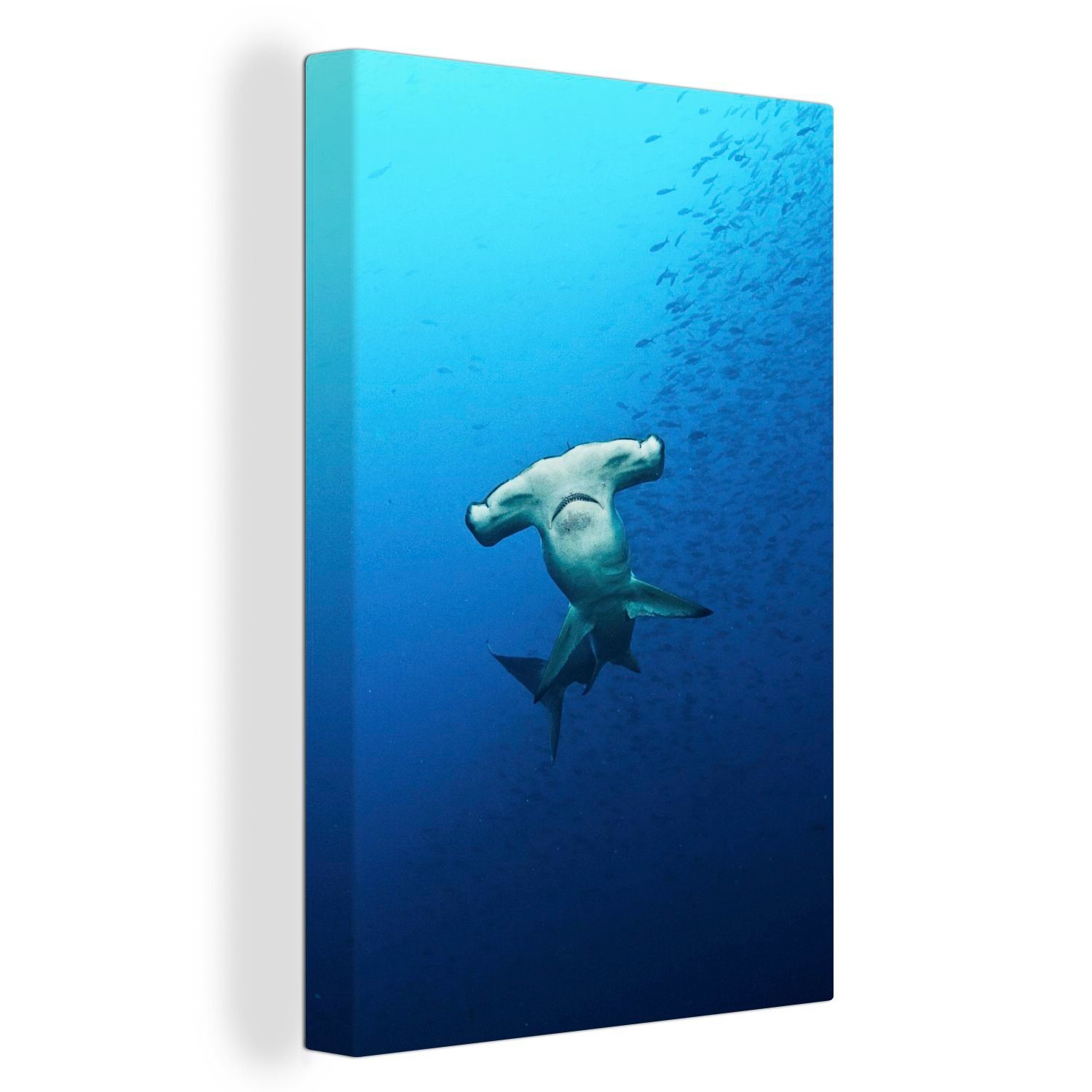OneMillionCanvasses® Leinwandbild Ein Hammerhai mit einem Fischschwarm in einem klaren Ozean, (1 St), Leinwandbild fertig bespannt inkl. Zackenaufhänger, Gemälde, 20x30 cm