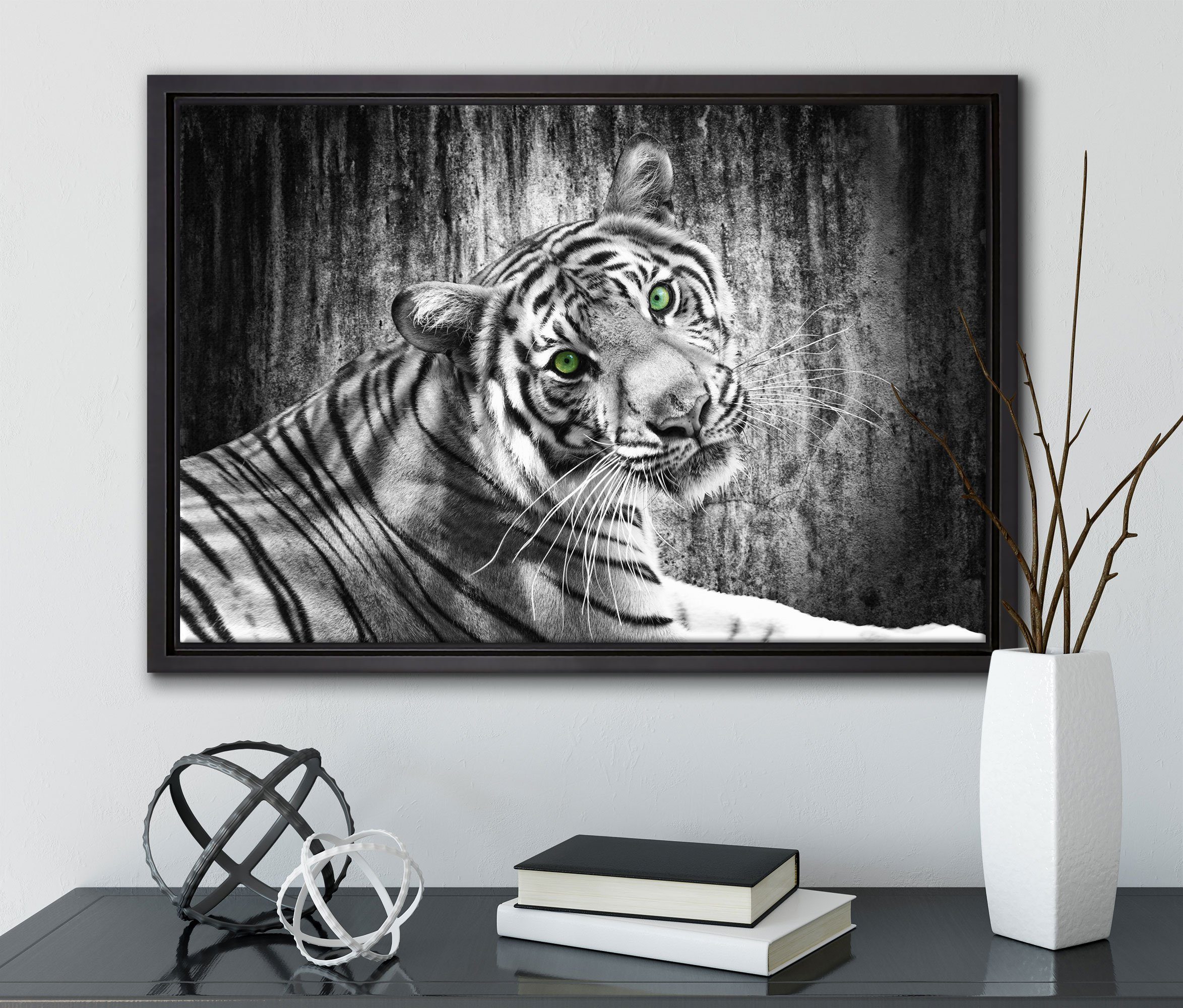 Tiger, St), inkl. einem (1 Leinwandbild gefasst, neugieriger Wanddekoration Pixxprint schöner in fertig Schattenfugen-Bilderrahmen Leinwandbild bespannt, Zackenaufhänger