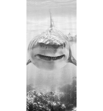MyMaxxi Dekorationsfolie Türtapete Raubfisch Hai schwarz weiß Türbild Türaufkleber Folie
