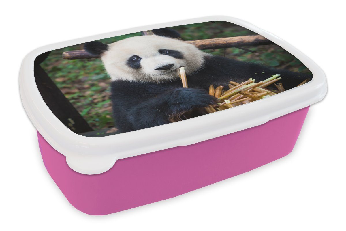 MuchoWow Lunchbox Panda - Bambus - Natur, Kunststoff, (2-tlg), Brotbox für Erwachsene, Brotdose Kinder, Snackbox, Mädchen, Kunststoff rosa