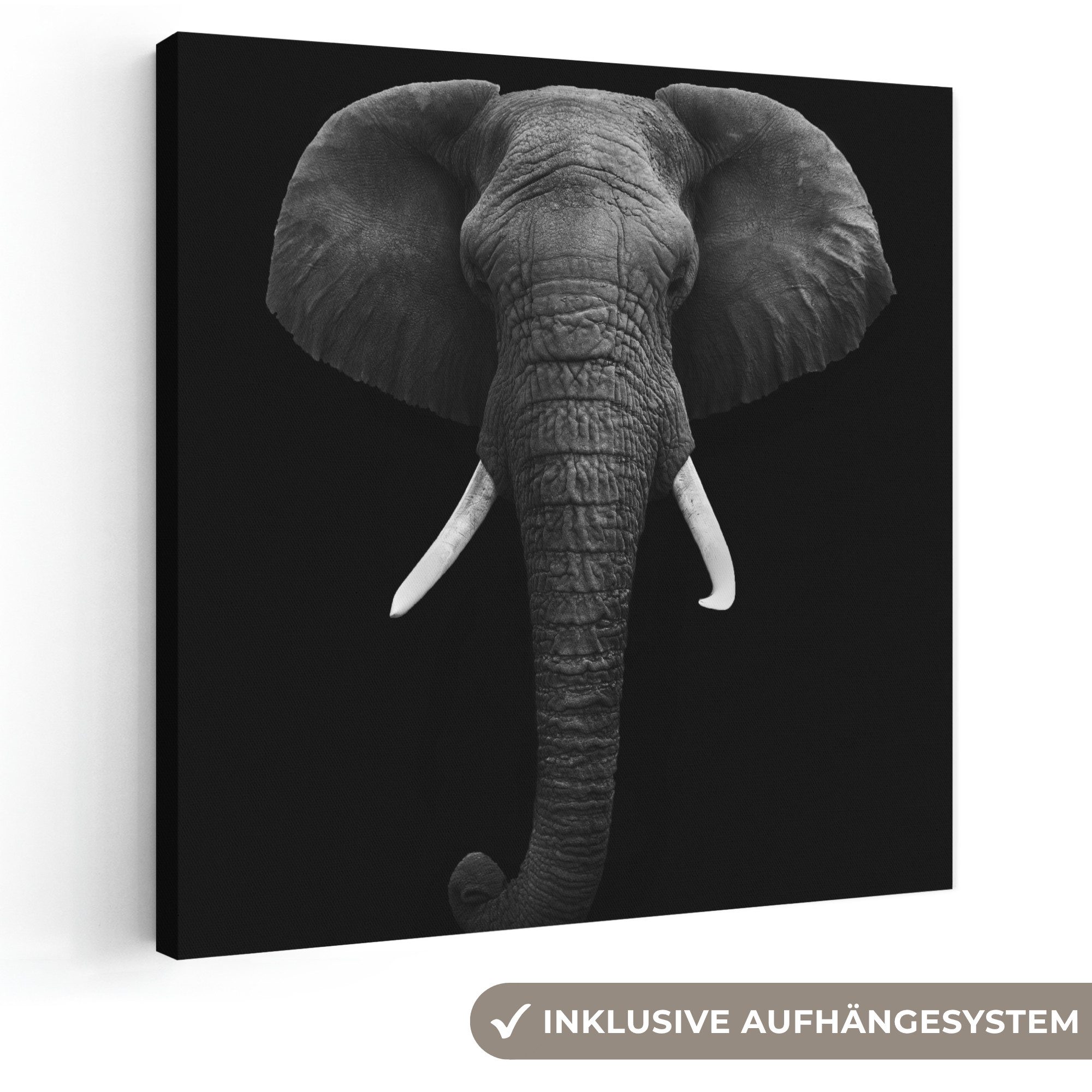 OneMillionCanvasses® Leinwandbild Elefant - Wildtiere - Schwarz - Weiß - Porträt, Fotodruck (1 St), Wandbild, Deko Schlafzimmer Wohnzimmer Flur 20x20 cm