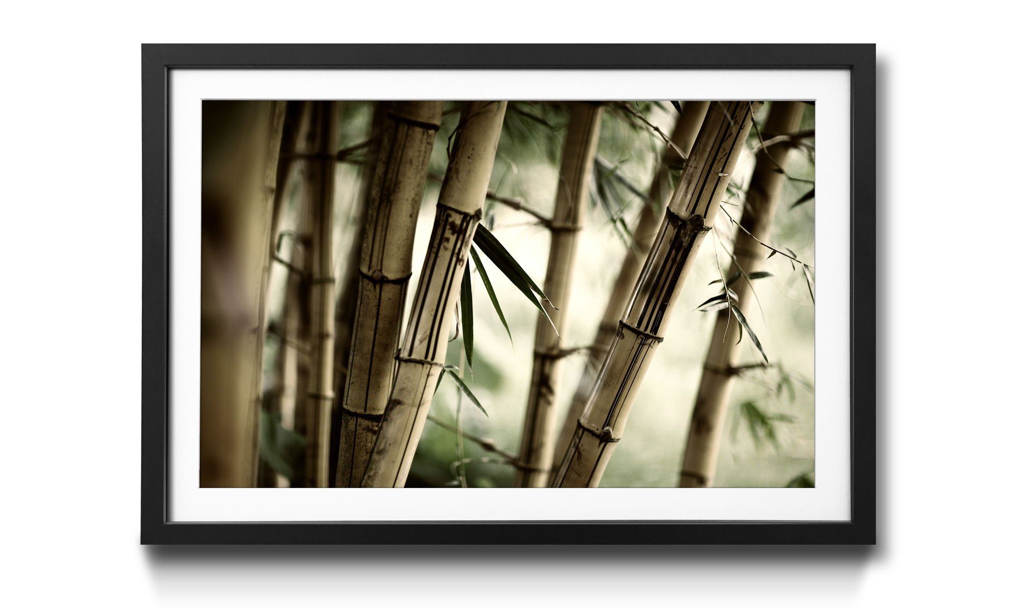 WandbilderXXL Bild mit Rahmen Bamboo in Größen Wandbild, 4 Bambuswald, Forest, erhältlich