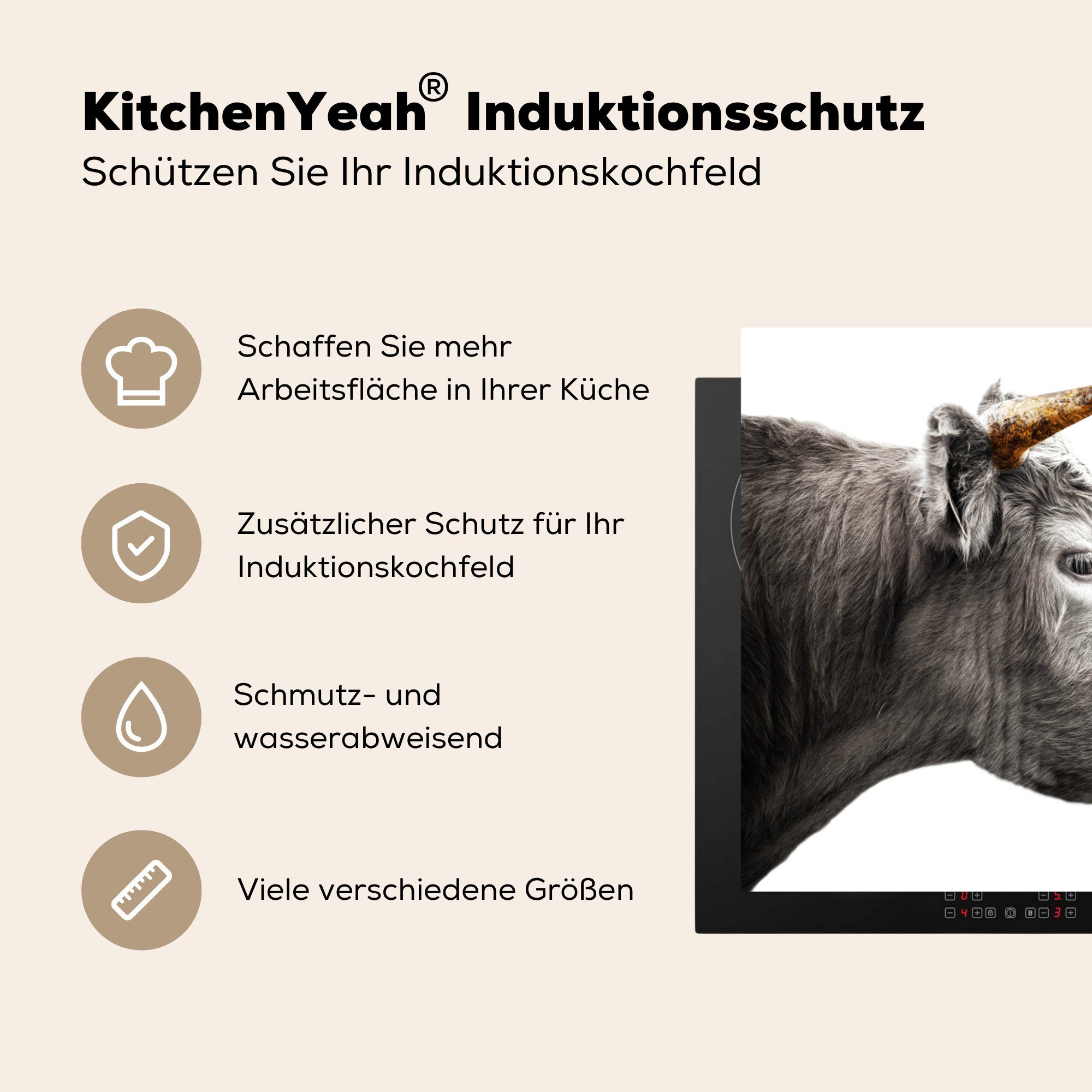 MuchoWow Herdblende-/Abdeckplatte Horn Tiere Highlander für - Ceranfeldabdeckung küche, 81x52 - Schottischer Vinyl, Induktionskochfeld die Schutz Gold, (1 cm, tlg), 