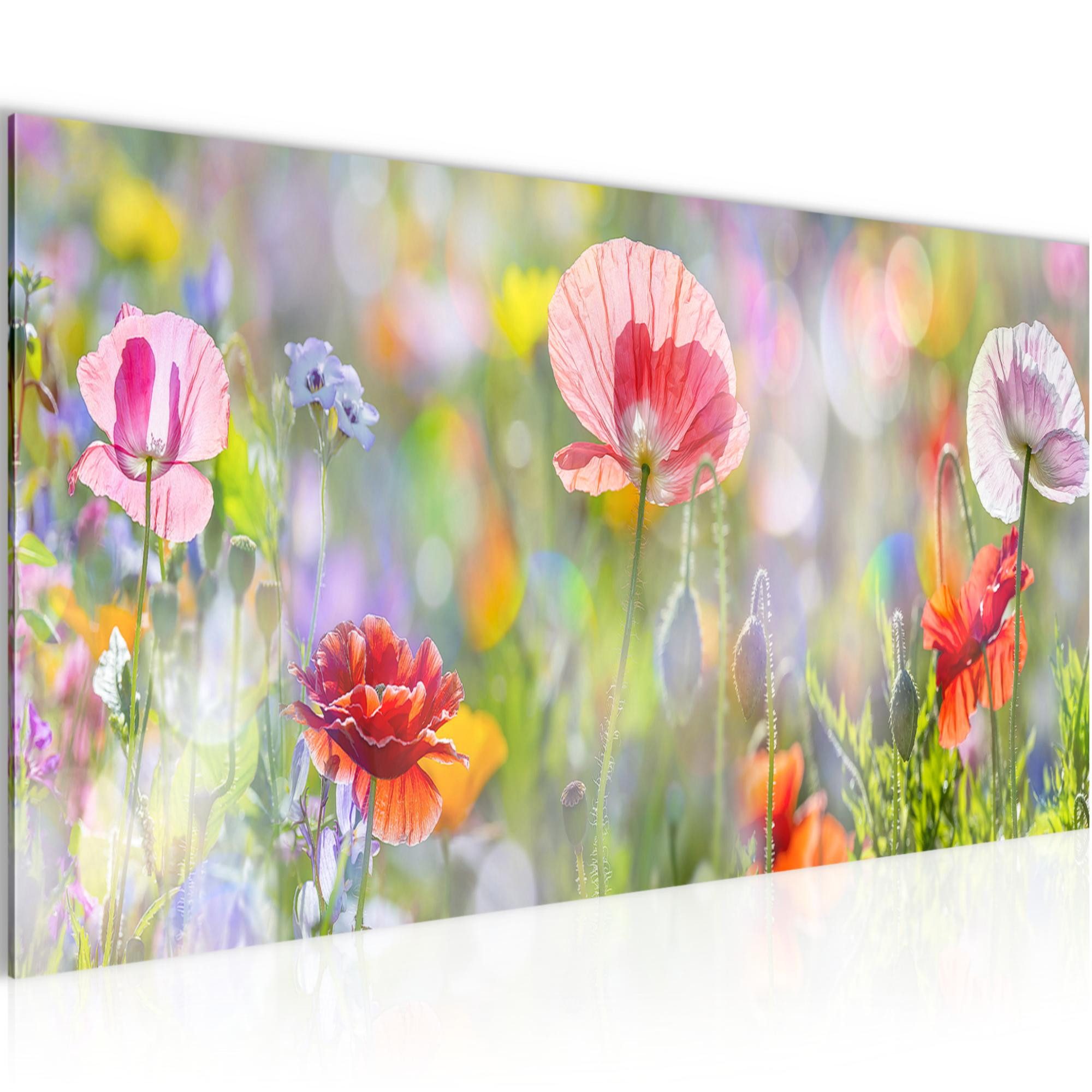 Runa Art Wandbild Blumen Mohnblumen Bild auf Vlies Leinwand Blumenwiese Natur Bunt 0075, 100L x 40B cm