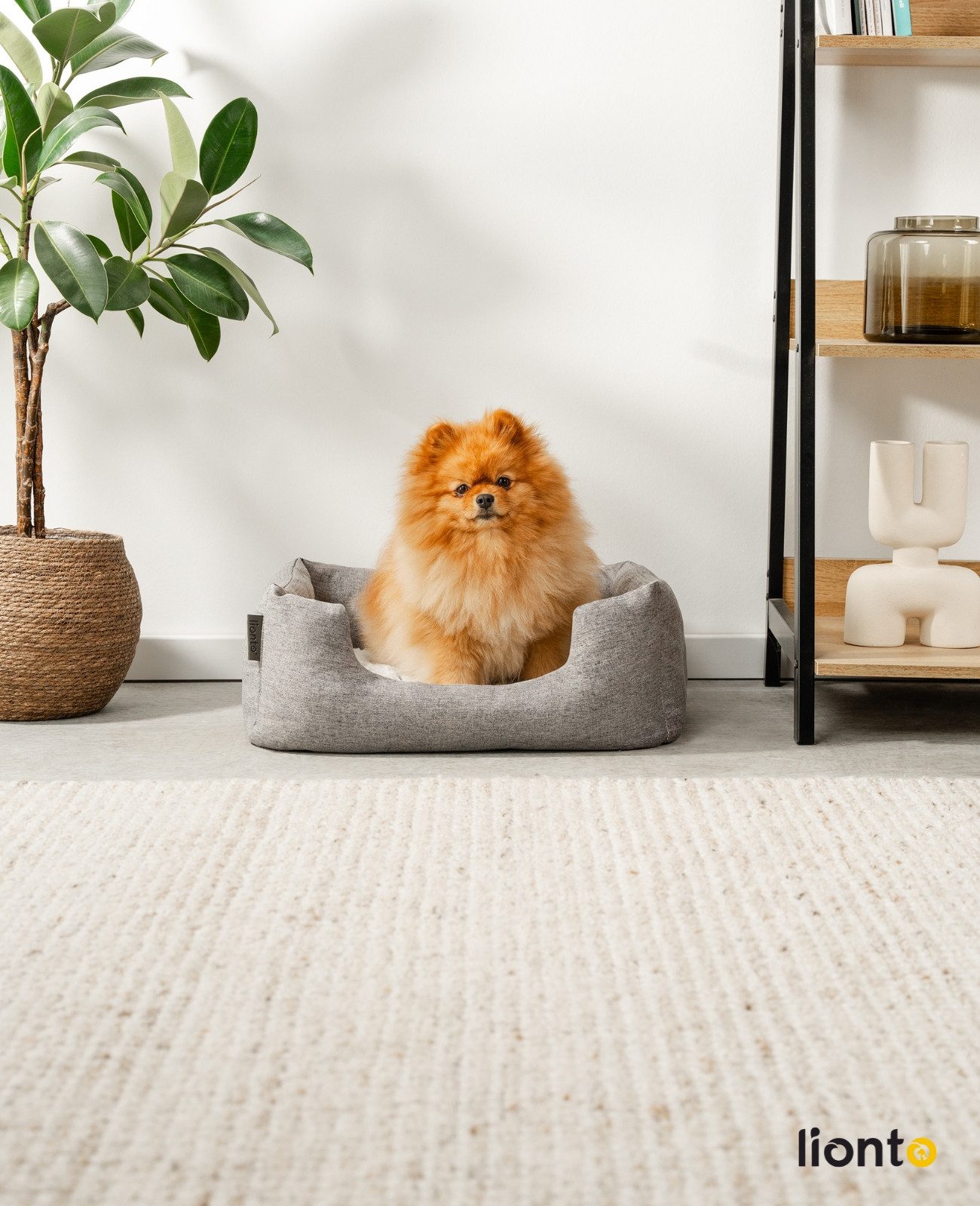 lionto Tierkissen Hundebett mit Wendekissen & günstig online kaufen