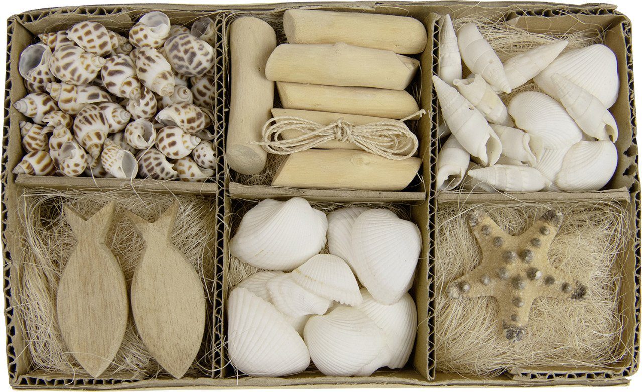 Dekofigur Dijk Muschel Mix in Box 450 g