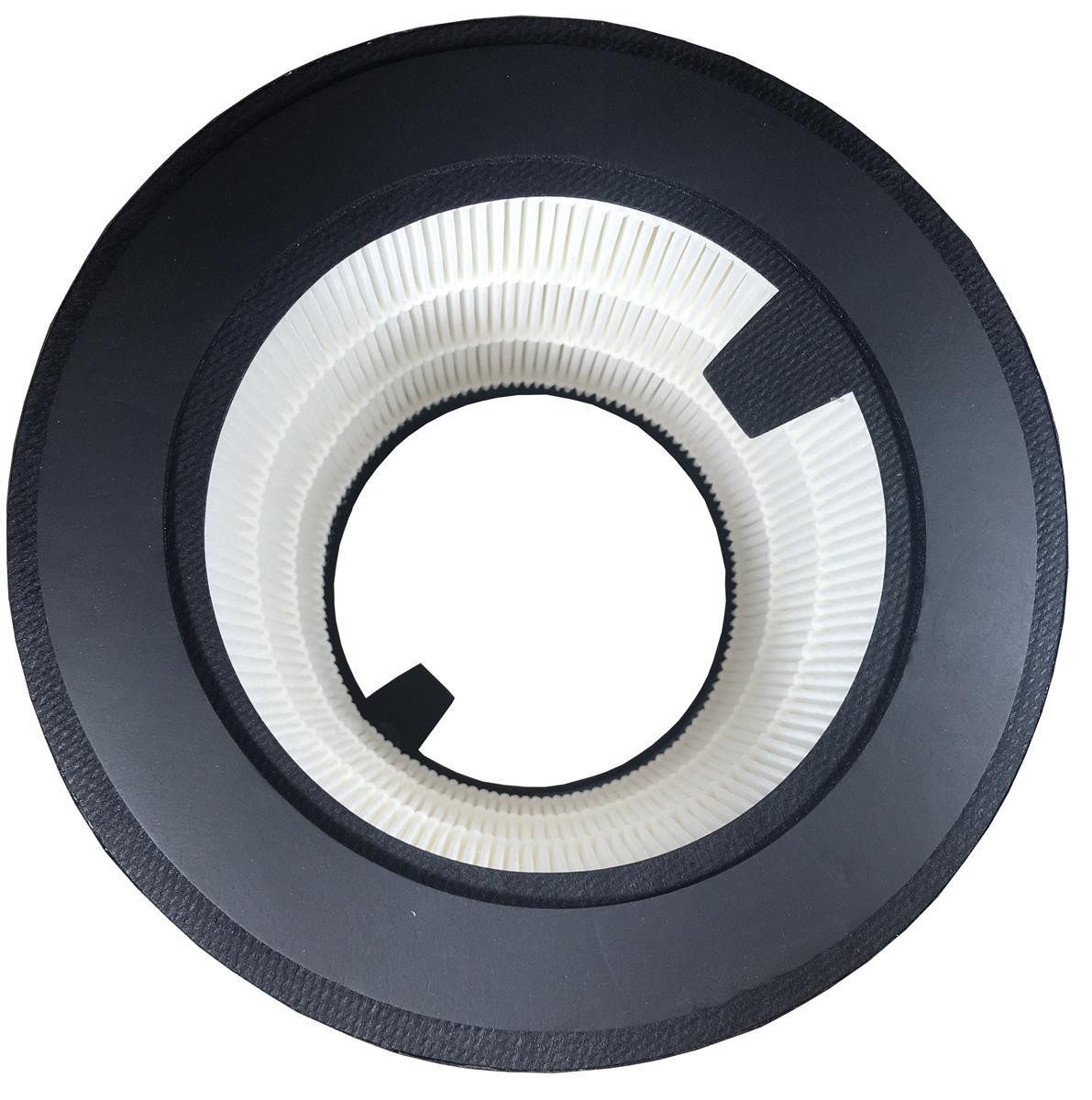 Comedes HEPA-Filter Comedes Ersatzfilter (HEPA), passend günstig online kaufen