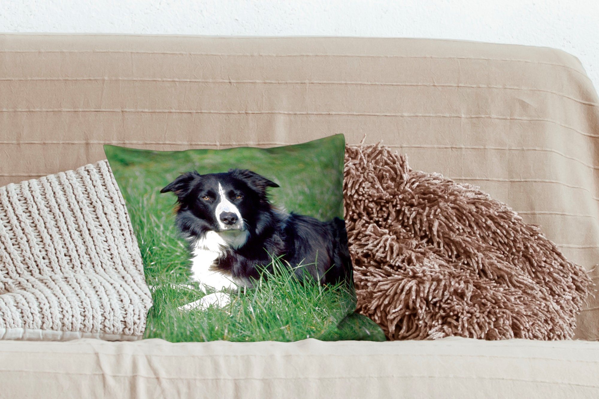 Dekokissen Füllung grünen Schlafzimmer, liegt Border mit Collie Sofakissen MuchoWow im Zierkissen Deko, hohen Gras, Wohzimmer, für