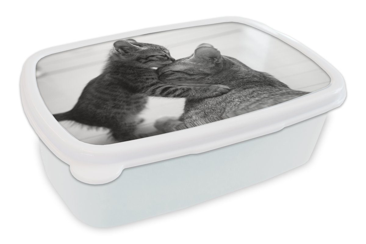 MuchoWow Lunchbox Katze kuschelt mit Kätzchen - schwarz und weiß, Kunststoff, (2-tlg), Brotbox für Kinder und Erwachsene, Brotdose, für Jungs und Mädchen