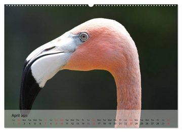 CALVENDO Wandkalender Flamingos Think pink (Premium-Calendar 2023 DIN A2 Landscape)