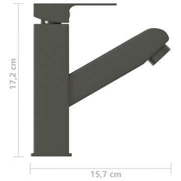 vidaXL Wannenarmatur Waschbeckenarmatur mit Herausziehbarer Brause Grau 157x172 mm