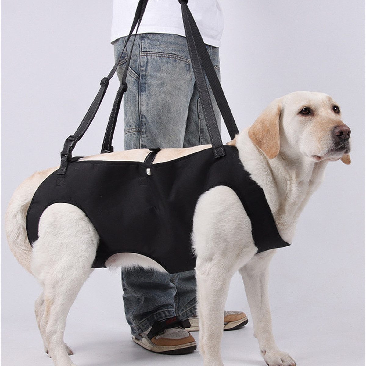 Welikera Hunde-Geschirr Tragehilfe Hund,Treppenhilfe für Hunde, für ältere Hunde & nach OP,zur Unterstützung bei Gelenkproblemen