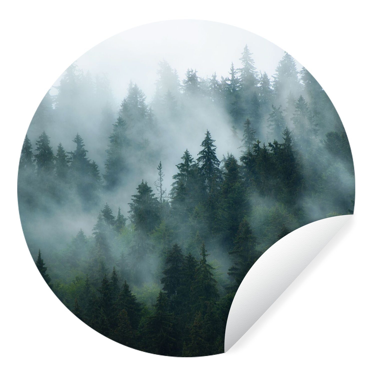 MuchoWow Wandsticker Nebel - Bäume - Wald (1 St), Wandtattoo Selbstklebend, günstig online kaufen