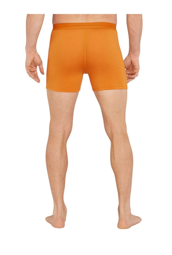 Icebreaker Boxershorts Anatomica (Merinowolle) Unterwäsche gelb Herren
