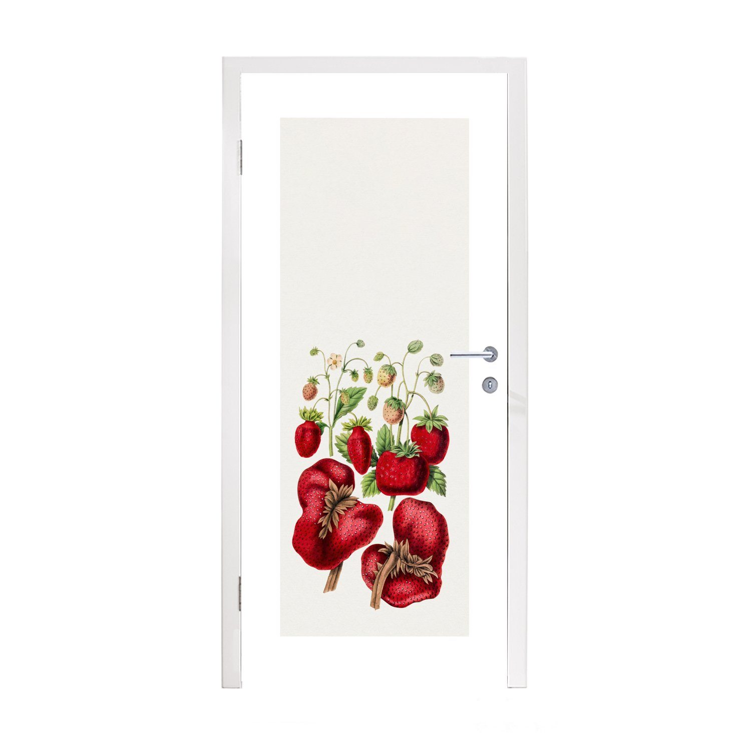 MuchoWow Türtapete Erdbeeren - Lebensmittel - Obst, Matt, bedruckt, (1 St), Fototapete für Tür, Türaufkleber, 75x205 cm