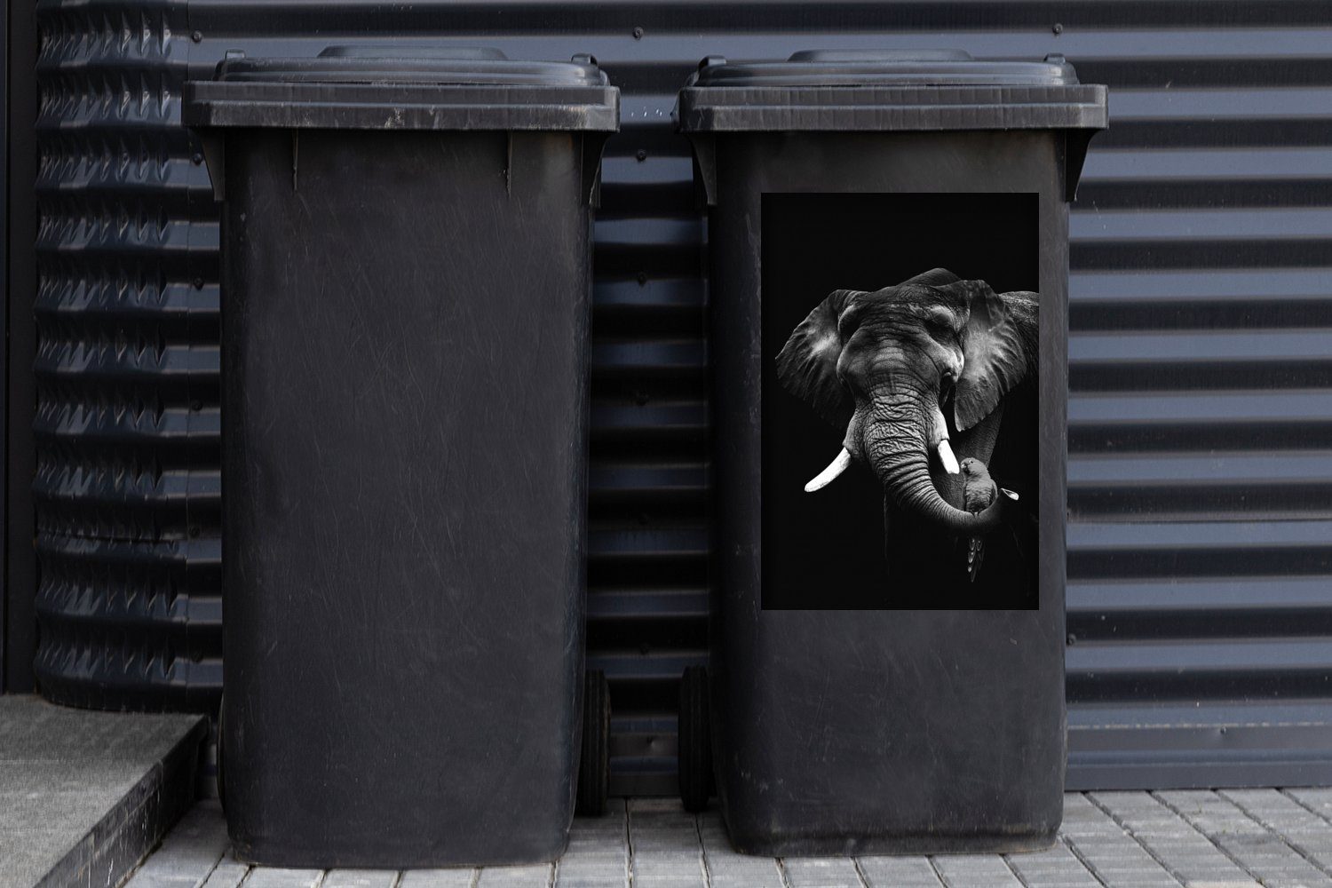MuchoWow Wandsticker Elefant mit Papagei (1 schwarzem vor schwarz - Sticker, und Abfalbehälter Hintergrund Container, Mülleimer-aufkleber, St), weiß Mülltonne