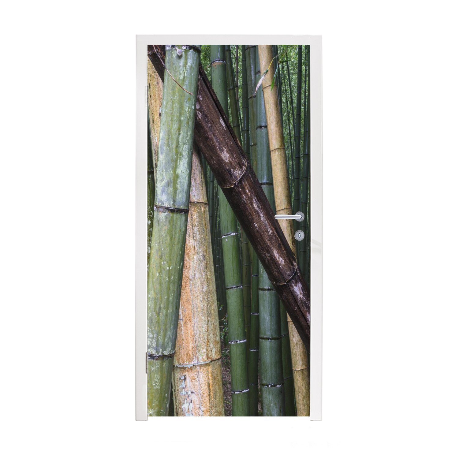 MuchoWow Türtapete Viele Bambusarten im Arashiyama-Bambuswald in Japan, Matt, bedruckt, (1 St), Fototapete für Tür, Türaufkleber, 75x205 cm