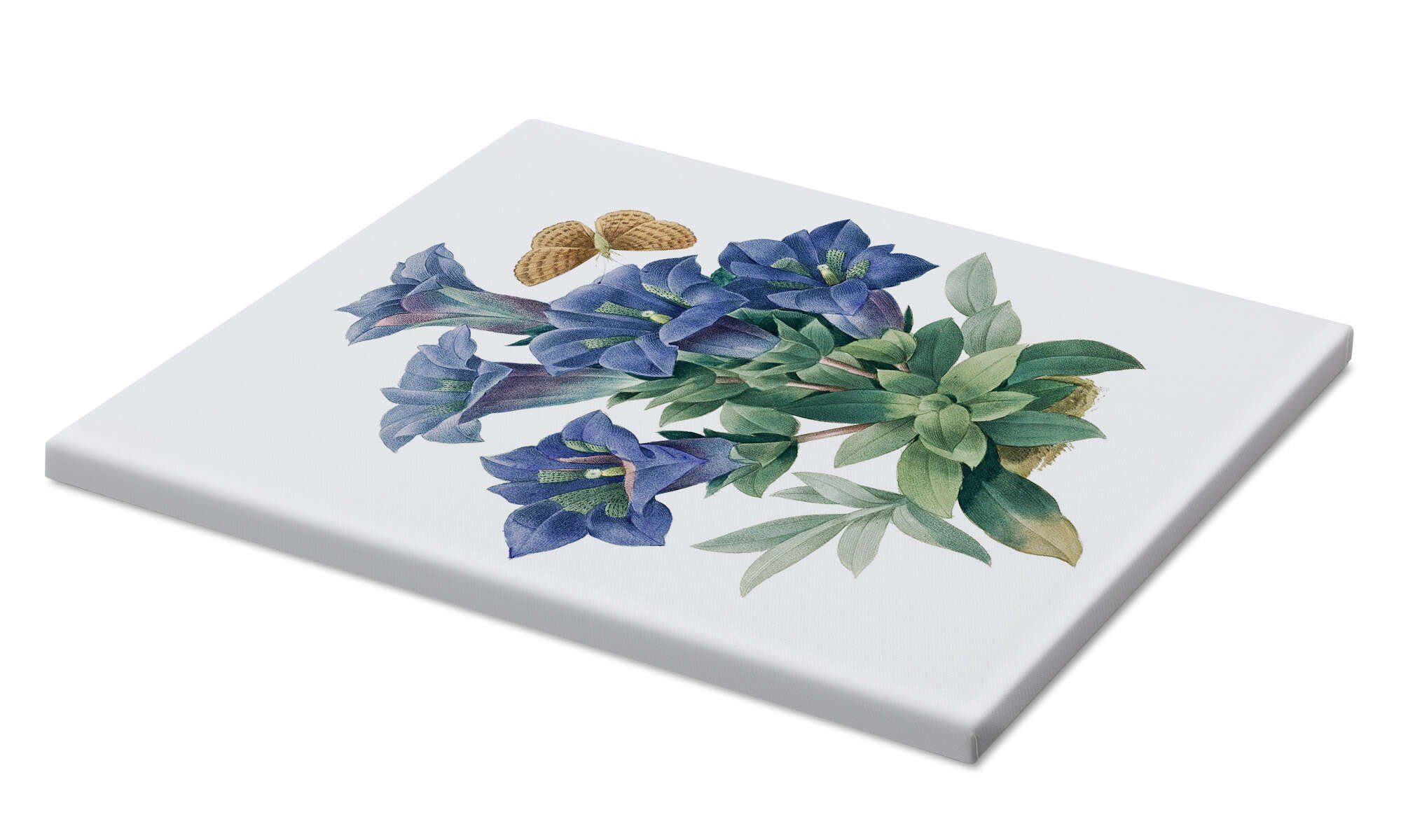 Posterlounge Wandbild Kochscher Enzian (Gentiana acaulis), günstig online kaufen