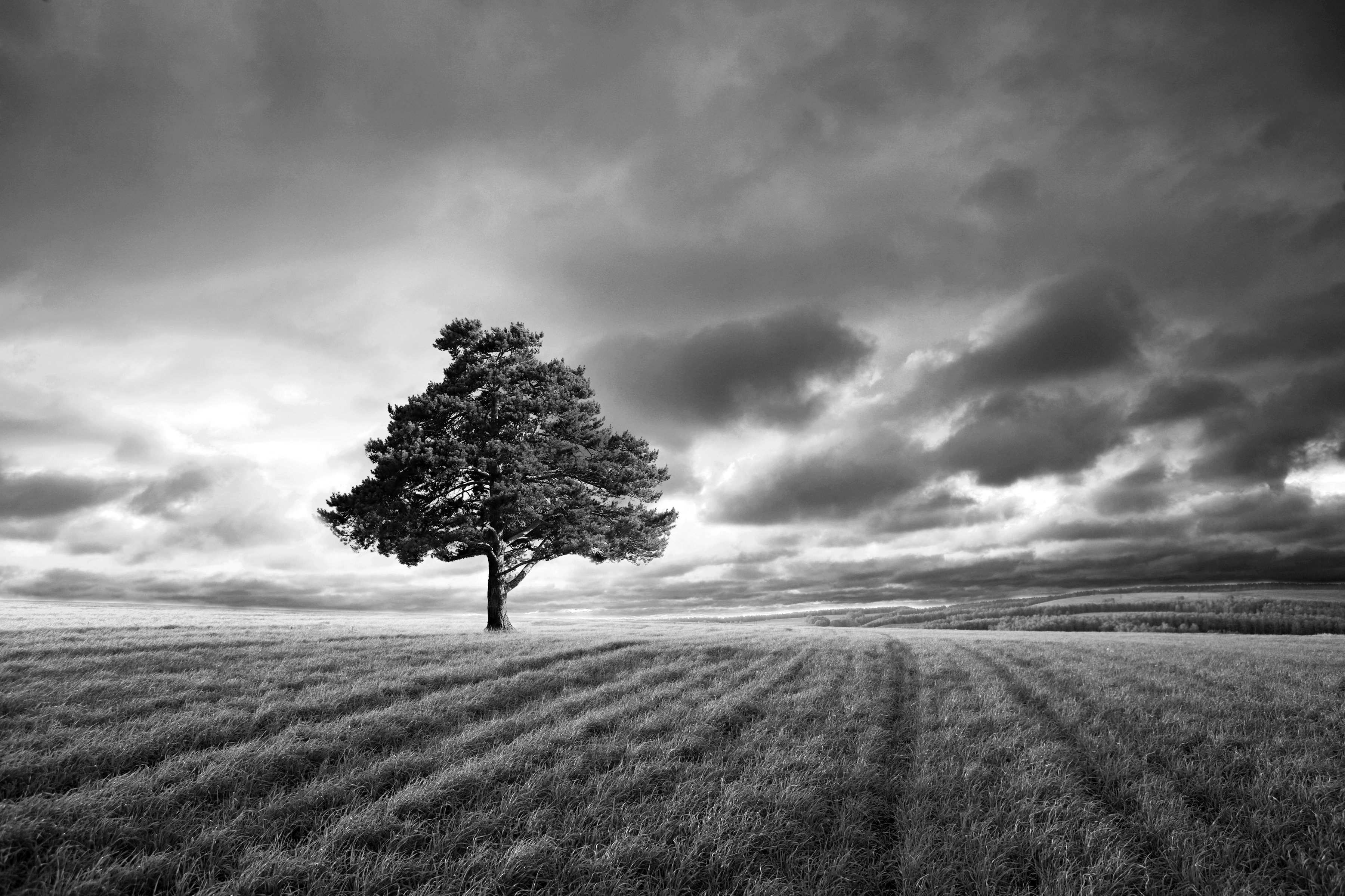 Papermoon & Fototapete schwarz weiß Landschaft