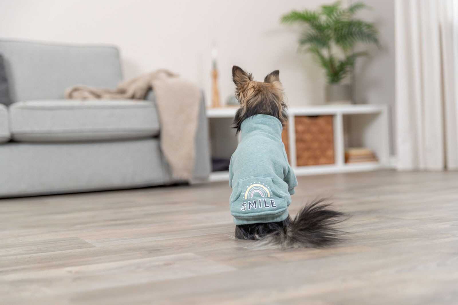 TRIXIE Hundeshirt Sweatshirt Littleton - mint