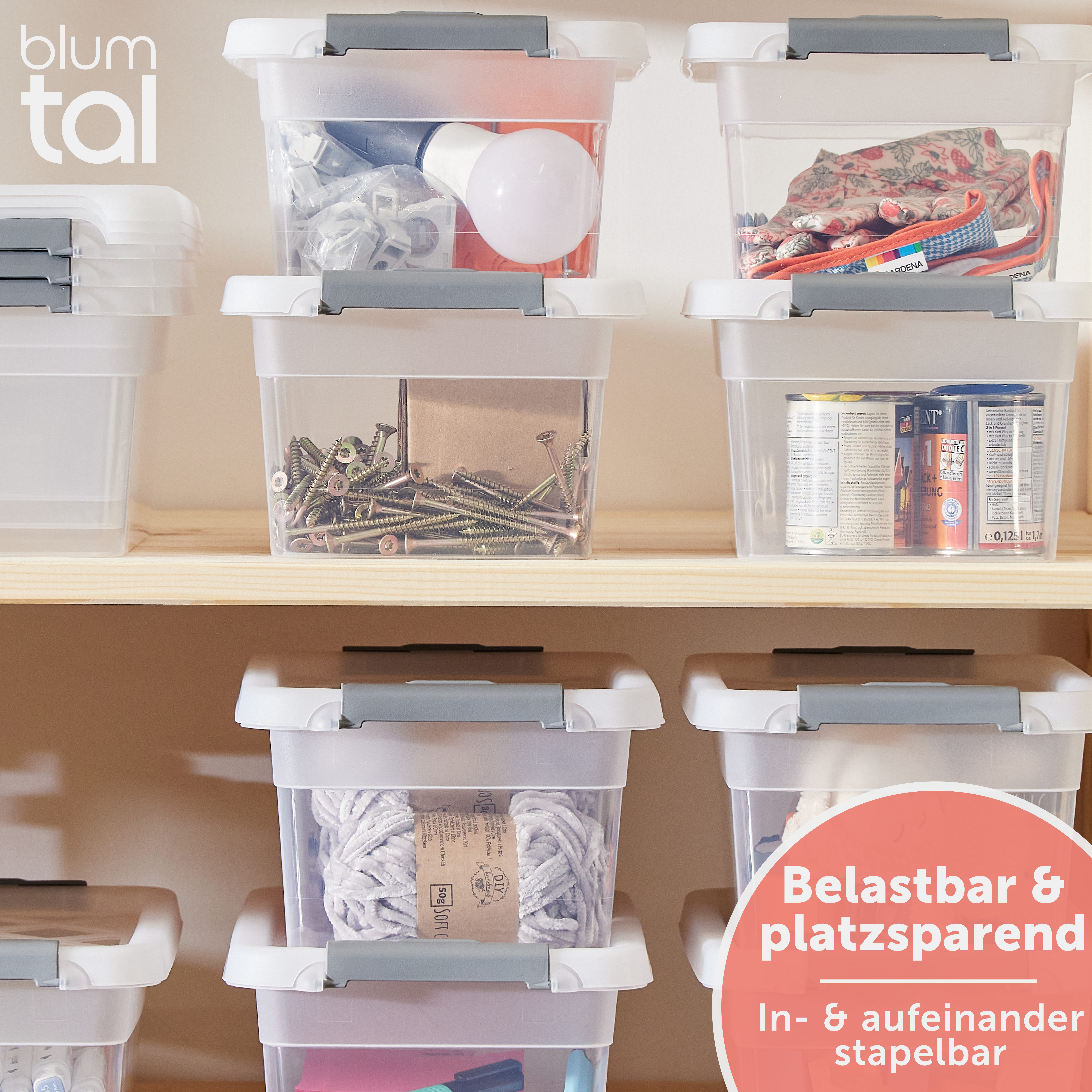 Blumtal Aufbewahrungsbox Aufbewahrungsbox mit Deckel aus günstig online kaufen