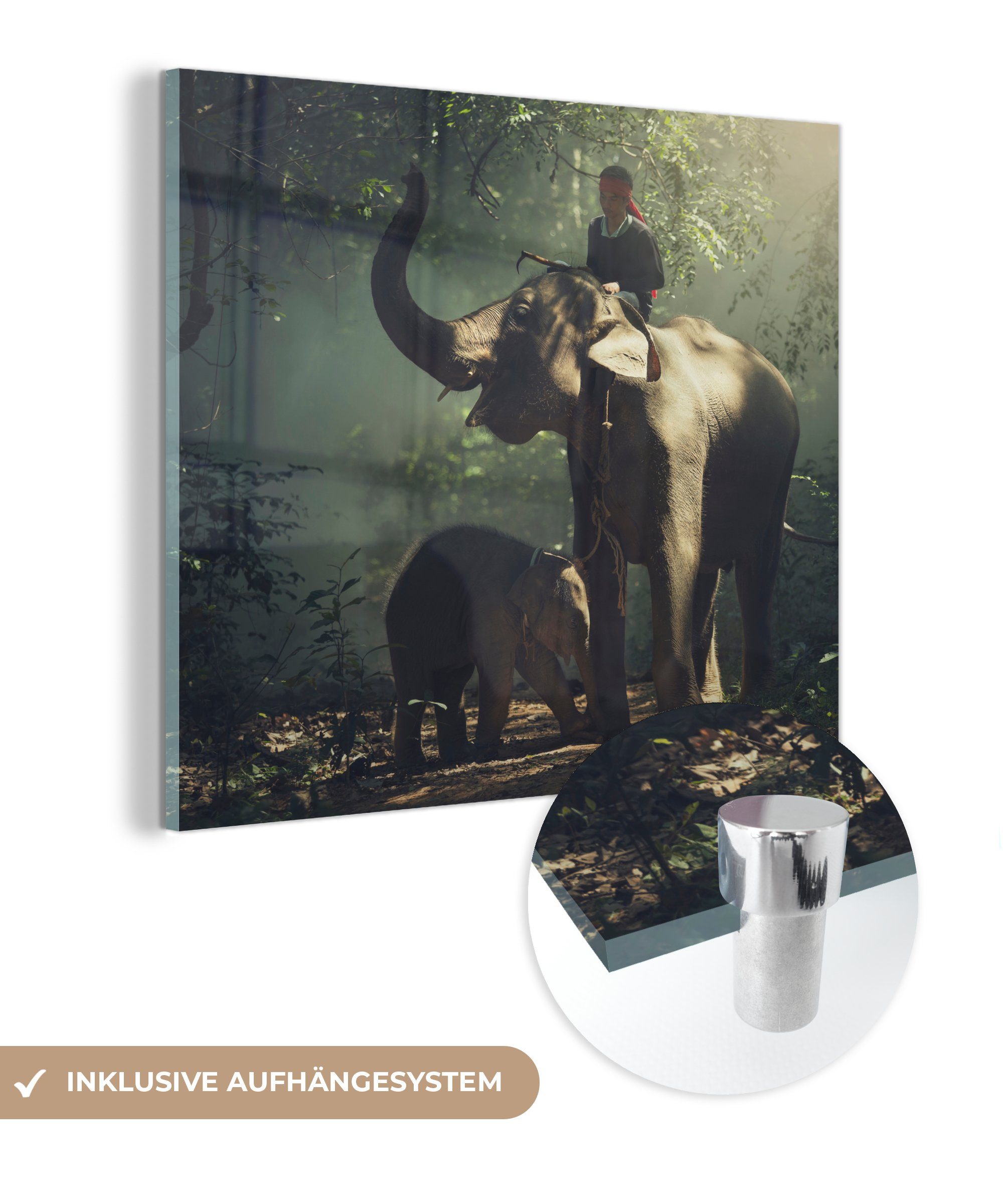 MuchoWow Acrylglasbild Elefant - Wald - Bäume - Tiere - Trainer, (1 St), Glasbilder - Bilder auf Glas Wandbild - Foto auf Glas - Wanddekoration