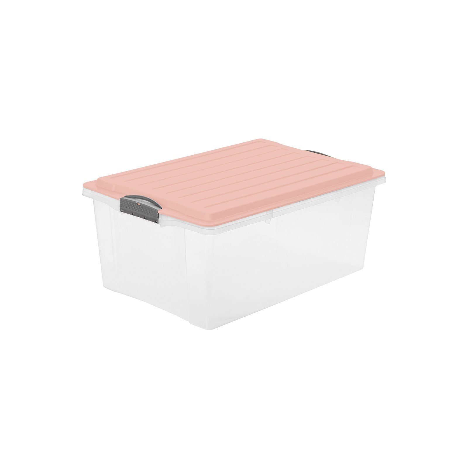 ROTHO Aufbewahrungsbox Compact Aufbewahrungsbox 38l mit Deckel, Kunststoff (PP) BPA-frei