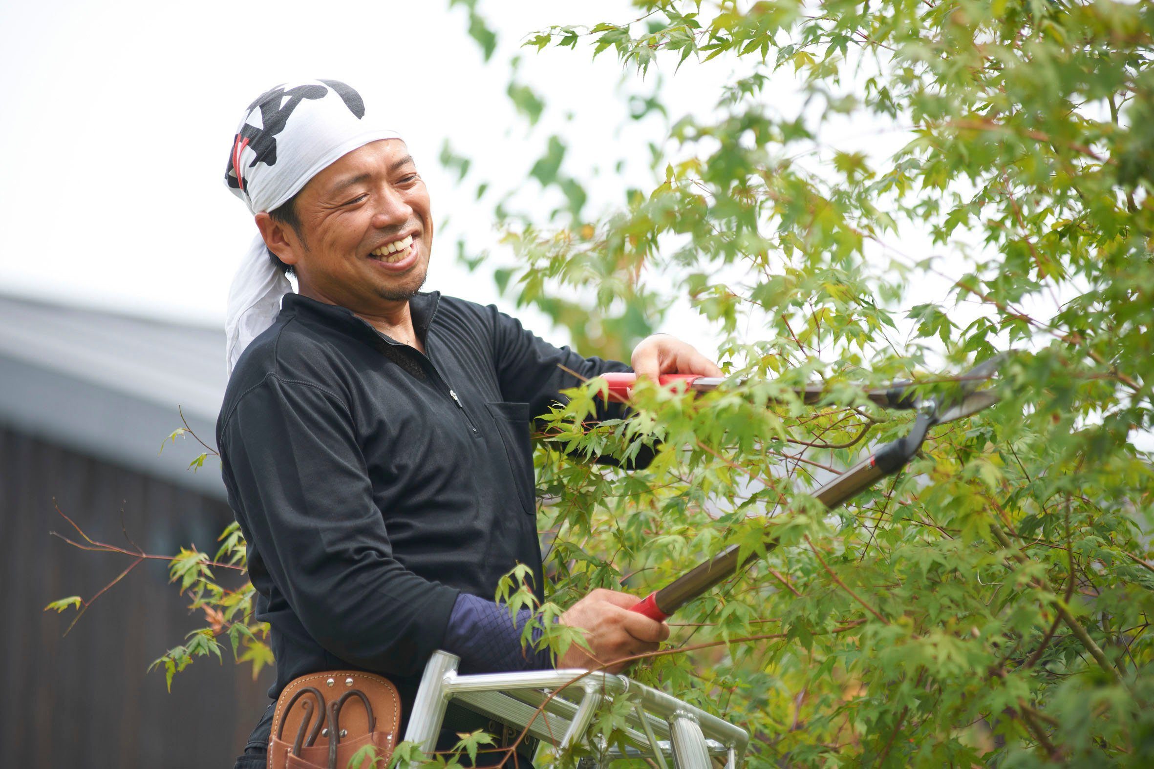 Gartenleiter, Unebenheiten aus im gleicht Vielzweckleiter, Gelände Niwaki