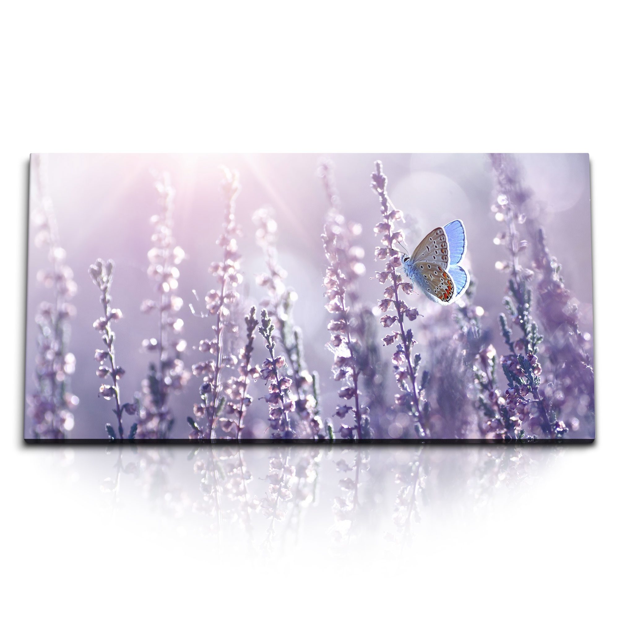 Leinwandbild Kunstdruck Bilder 120x60cm Sonnenschein Lavendel Schmetterling Natur B