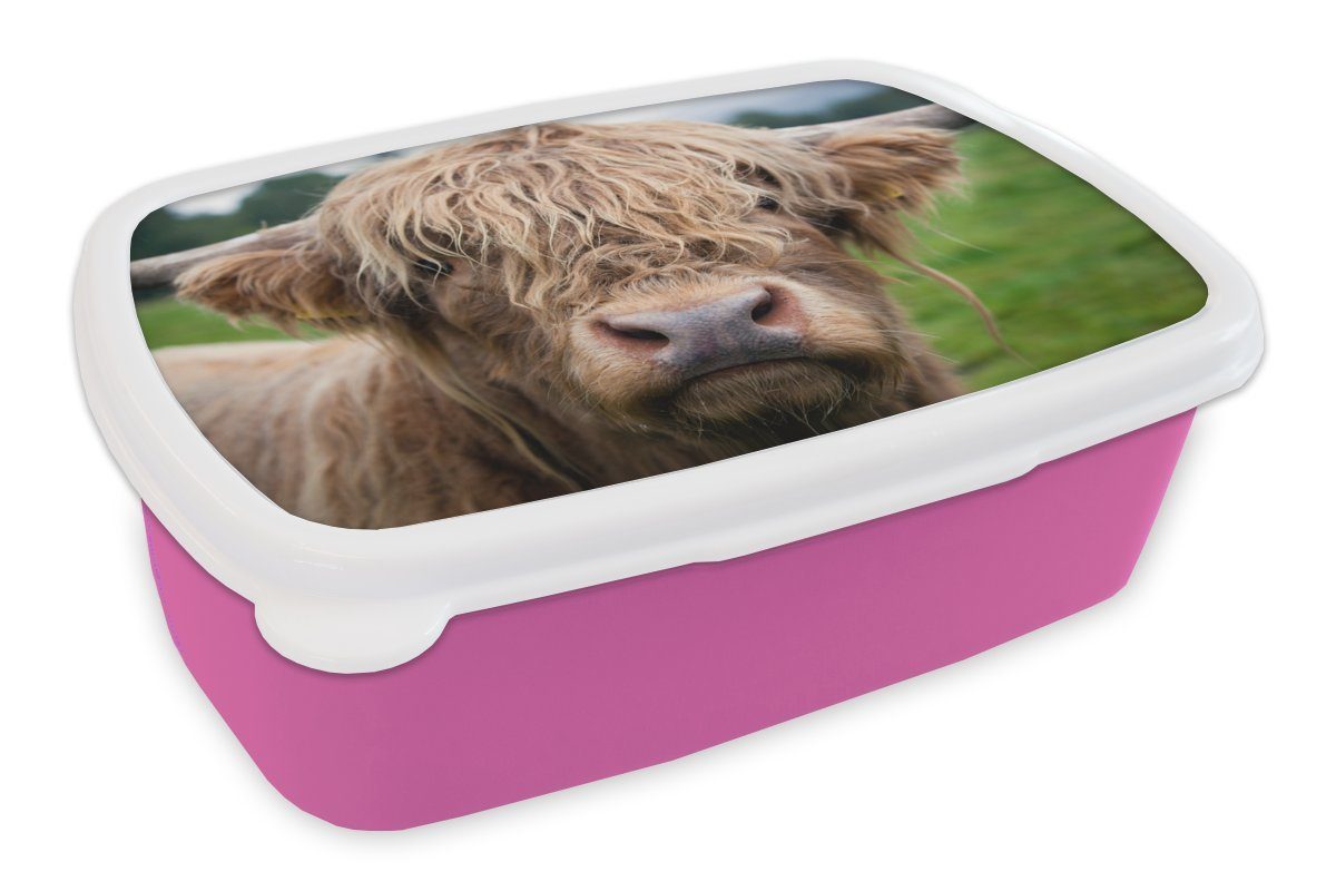 Schottische Landschaft für Lunchbox MuchoWow Mädchen, Kunststoff - Nahaufnahme, Erwachsene, - Snackbox, Kinder, Brotbox rosa Kunststoff, Brotdose (2-tlg), Highlander-Kuh