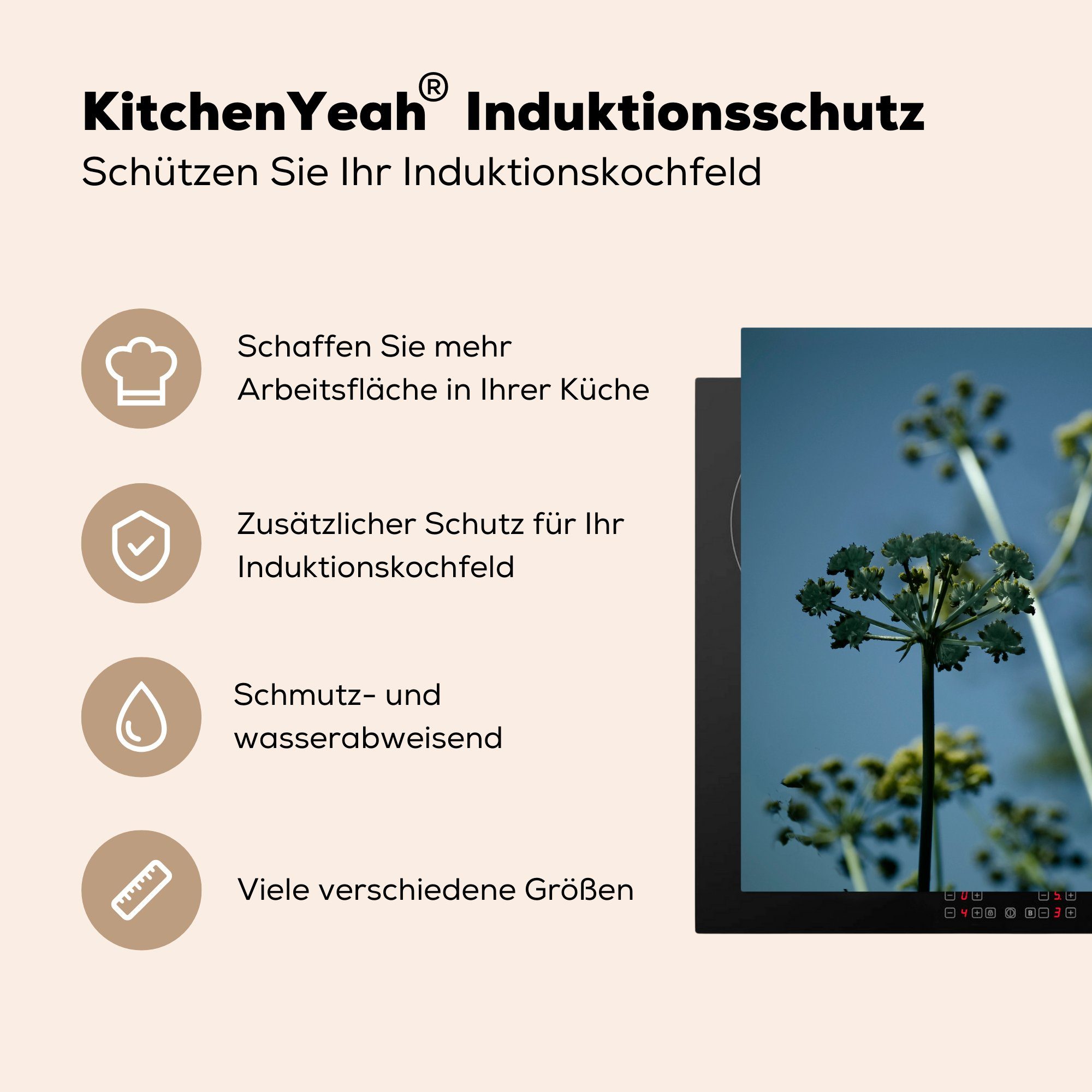 MuchoWow Herdblende-/Abdeckplatte Foto der wachsenden Liebstöckelpflanze der Arbeitsplatte küche Vinyl, Ceranfeldabdeckung, in Natur, 78x78 cm, für tlg), (1