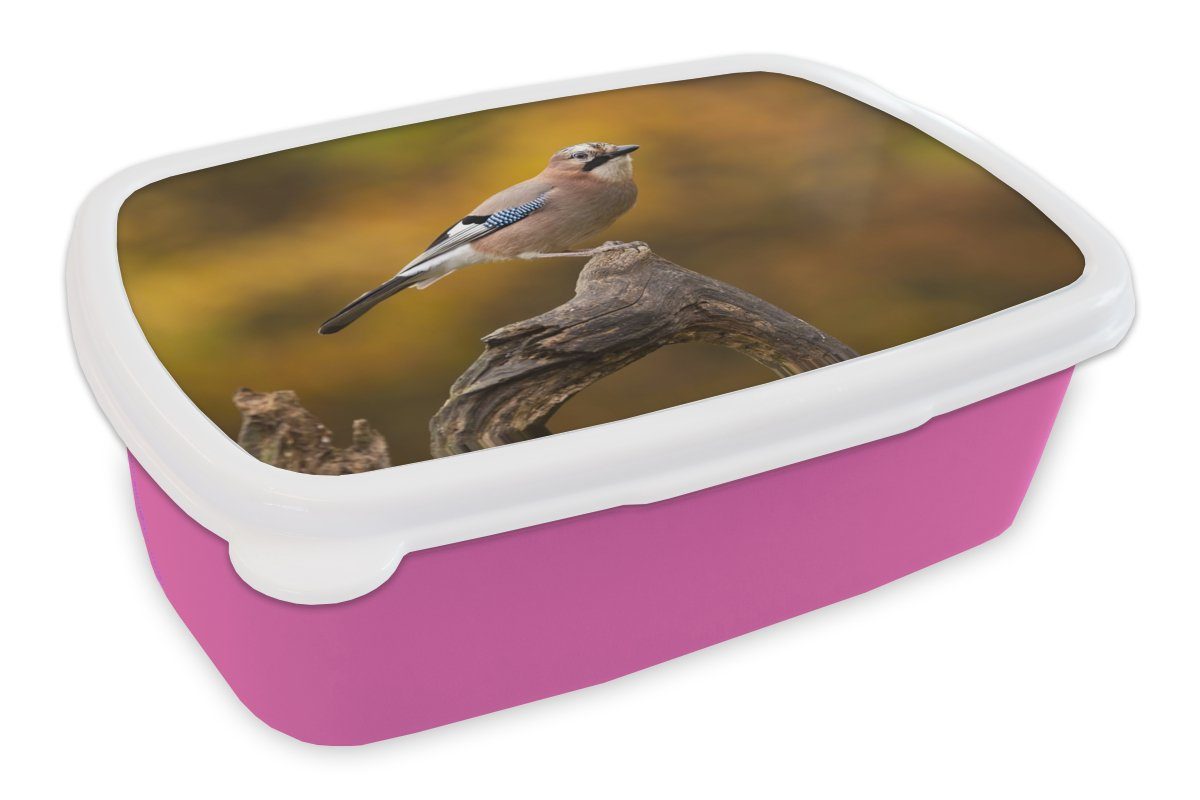 MuchoWow Lunchbox Vogel - Zweig - Eichelhäher, Kunststoff, (2-tlg), Brotbox für Erwachsene, Brotdose Kinder, Snackbox, Mädchen, Kunststoff rosa