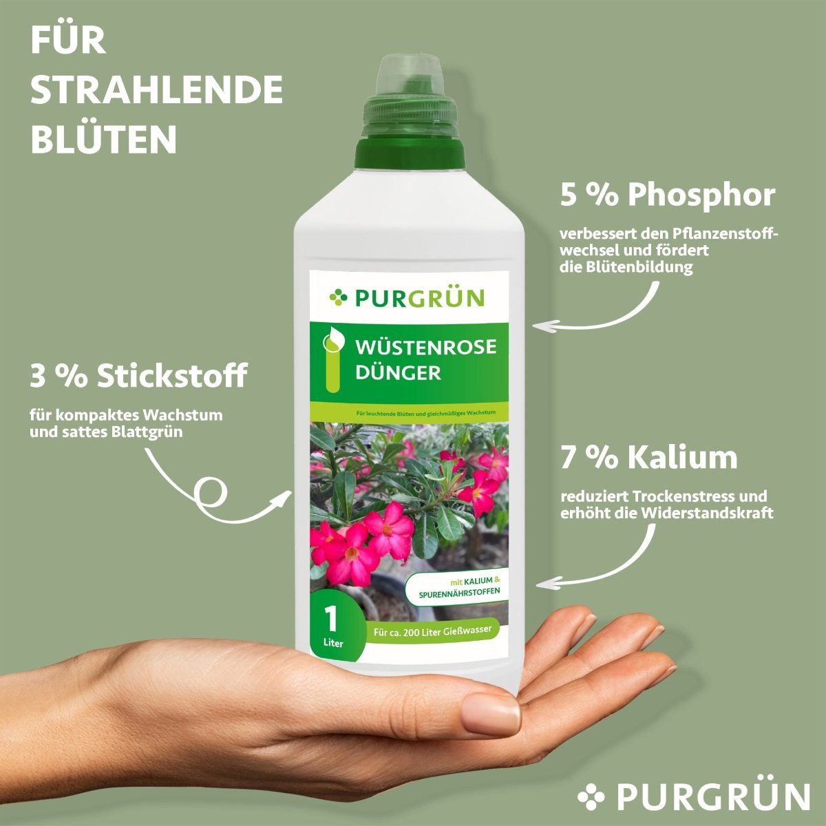 Purgrün Pflanzendünger Purgrün Wüstenrose Dünger, NPK günstig online kaufen